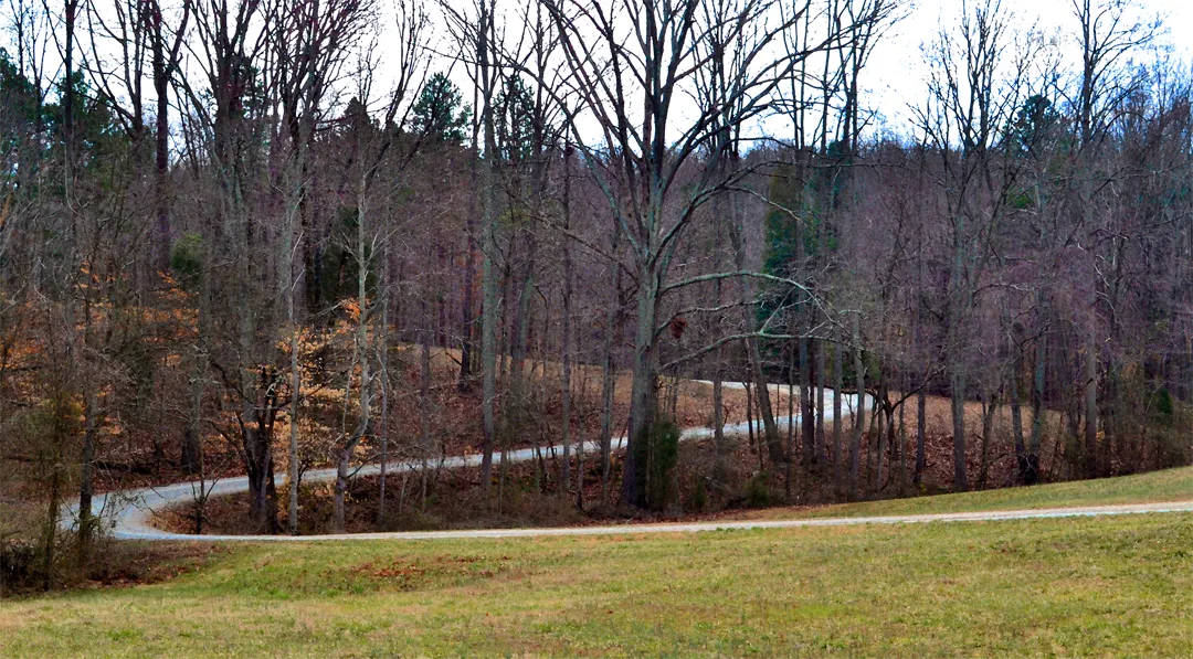 The Winding Road