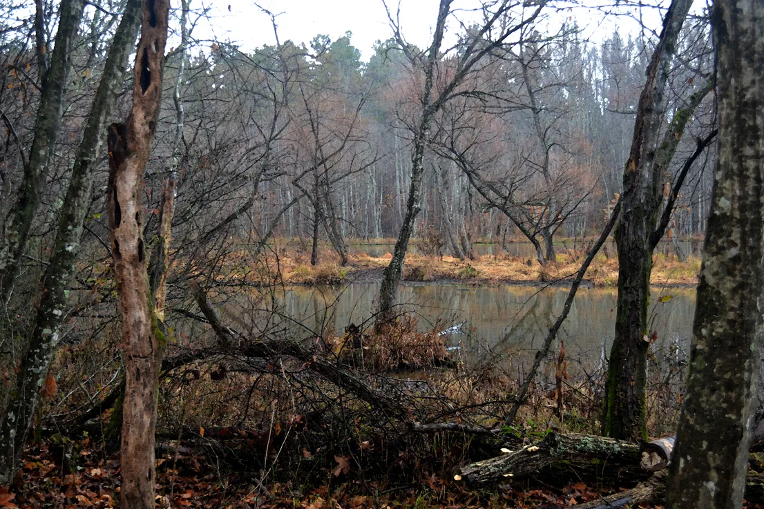 Coriher Park 2