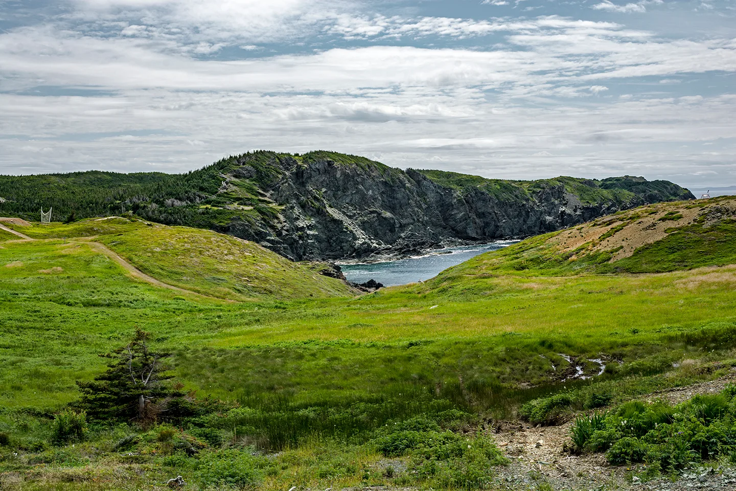 Twillingate 24