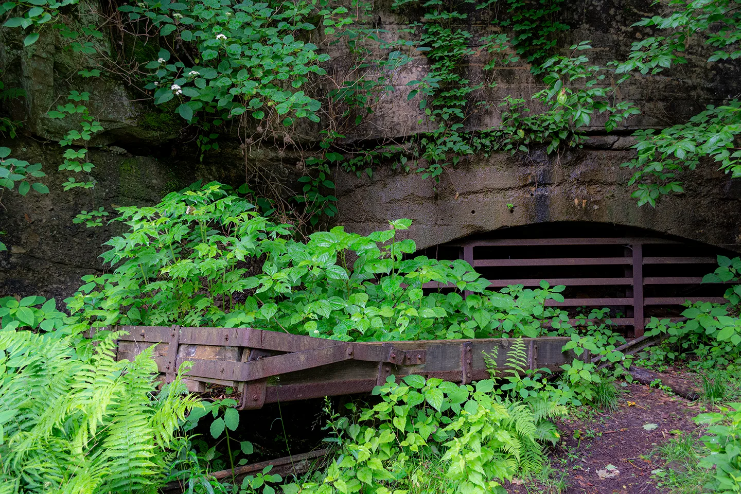 Kaymoor 3