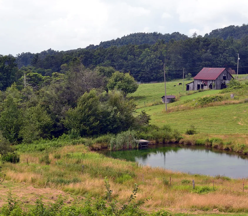 BlueridgeParkway 6