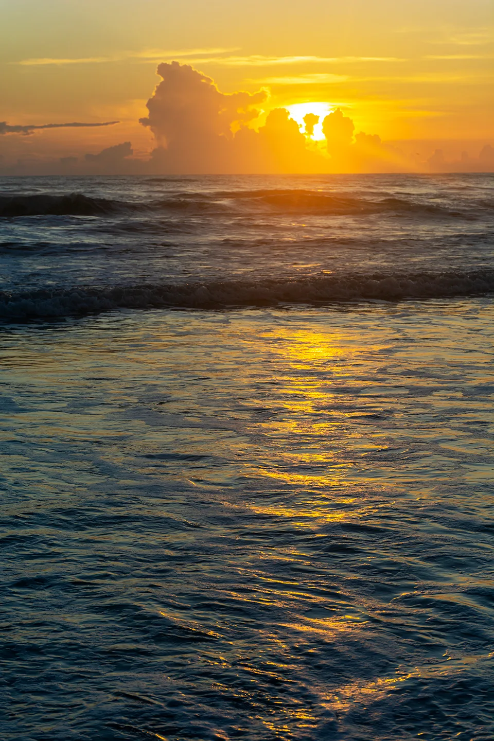 Nsb 41