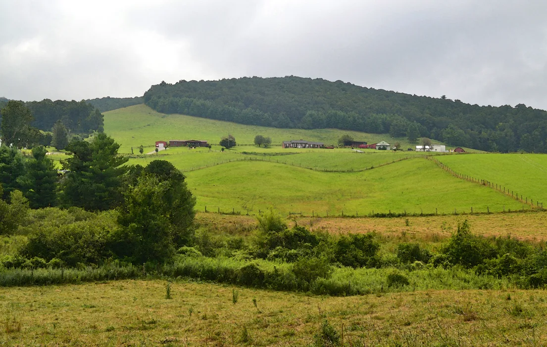 Landscape 2