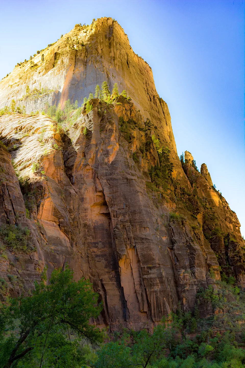 Zion 32