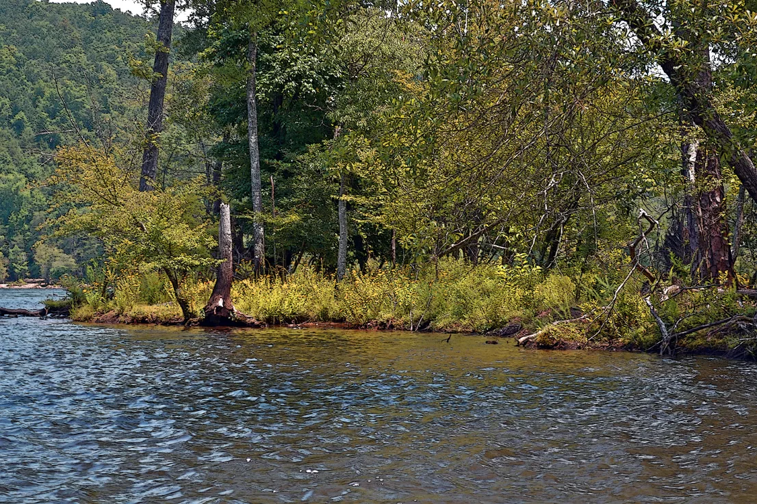 Yadkin-Peedee 23