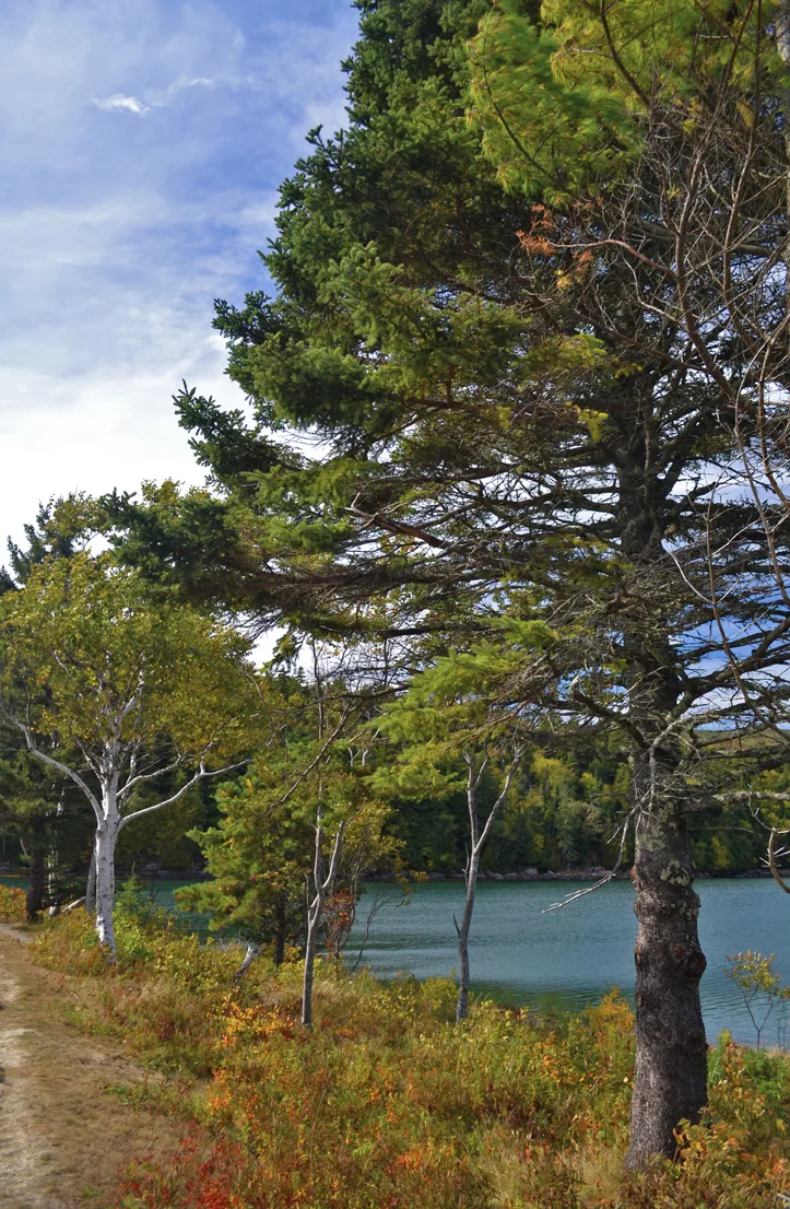 Acadia Trail 2
