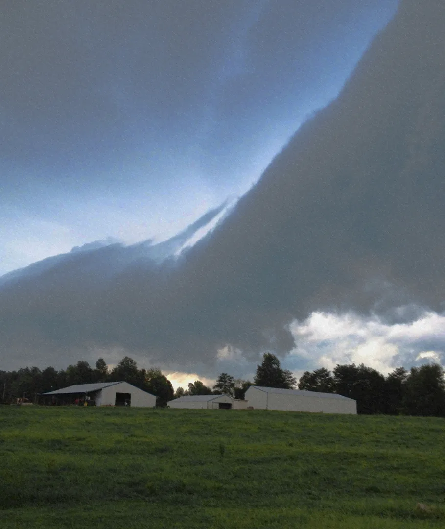 Rachels Farm