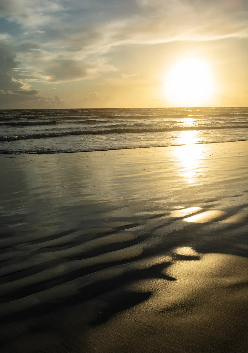 Nsb 29