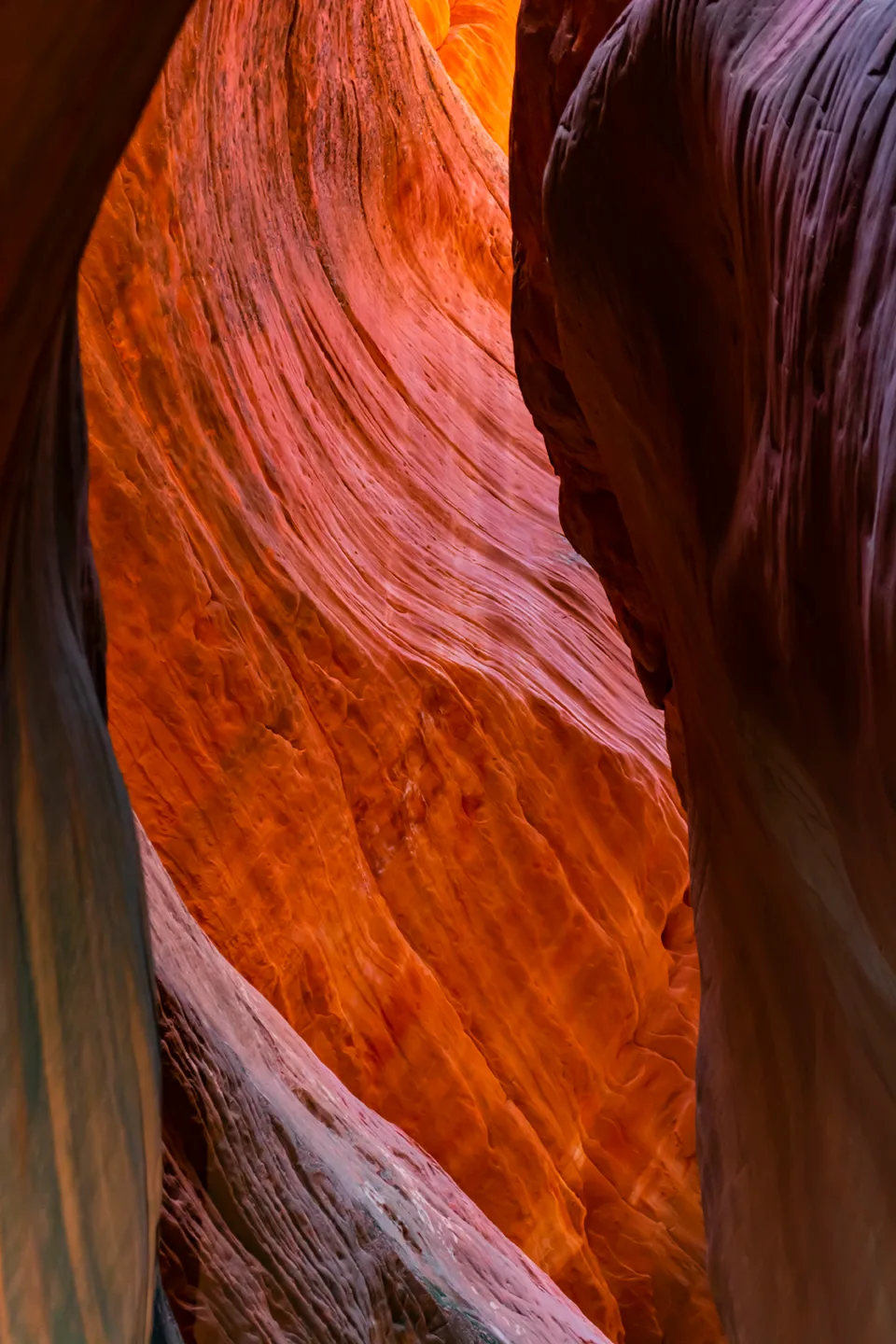 Peekaboo 25