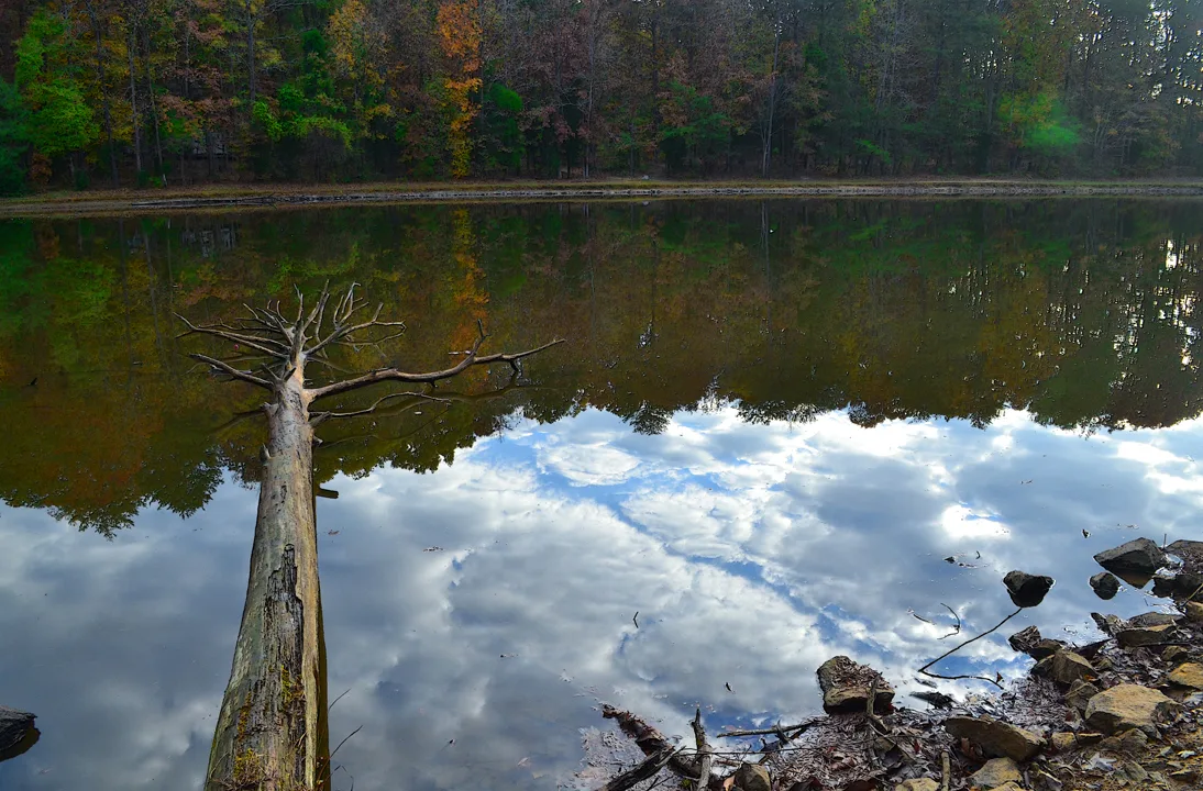 Water Reflection DN