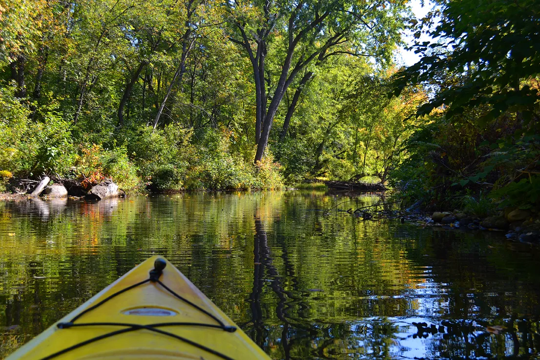 Kayak 3