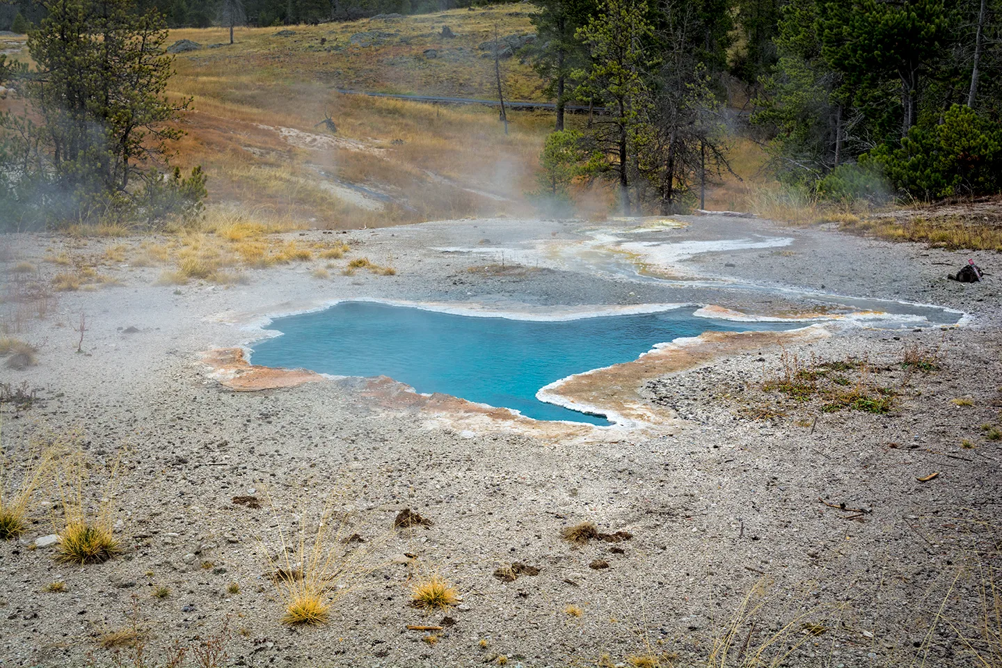 Yellowstone 5