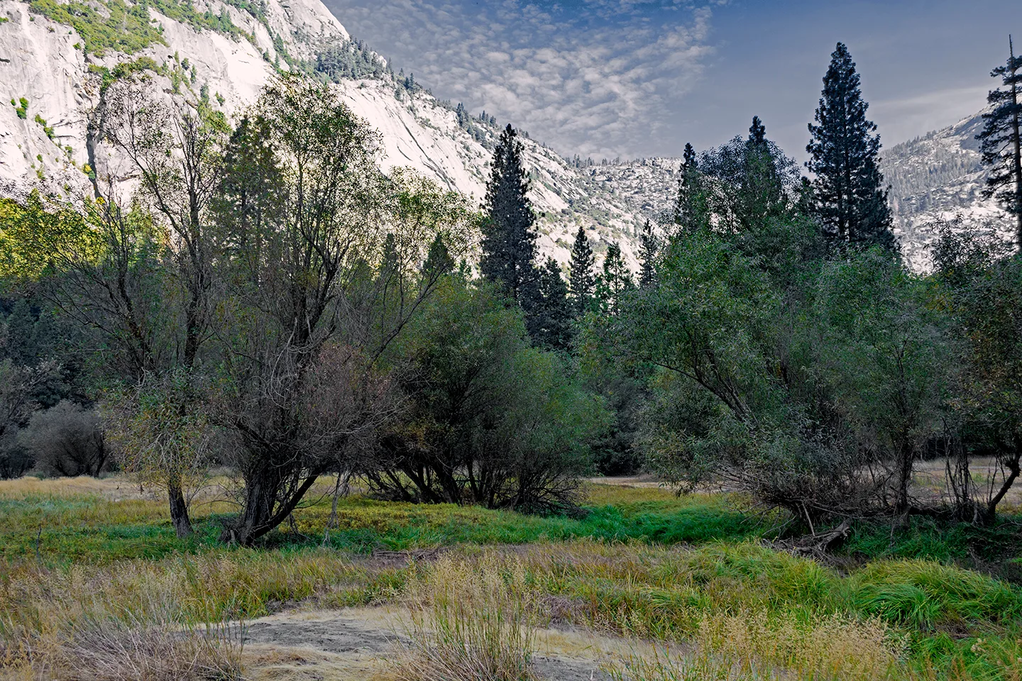 Yosemite 60