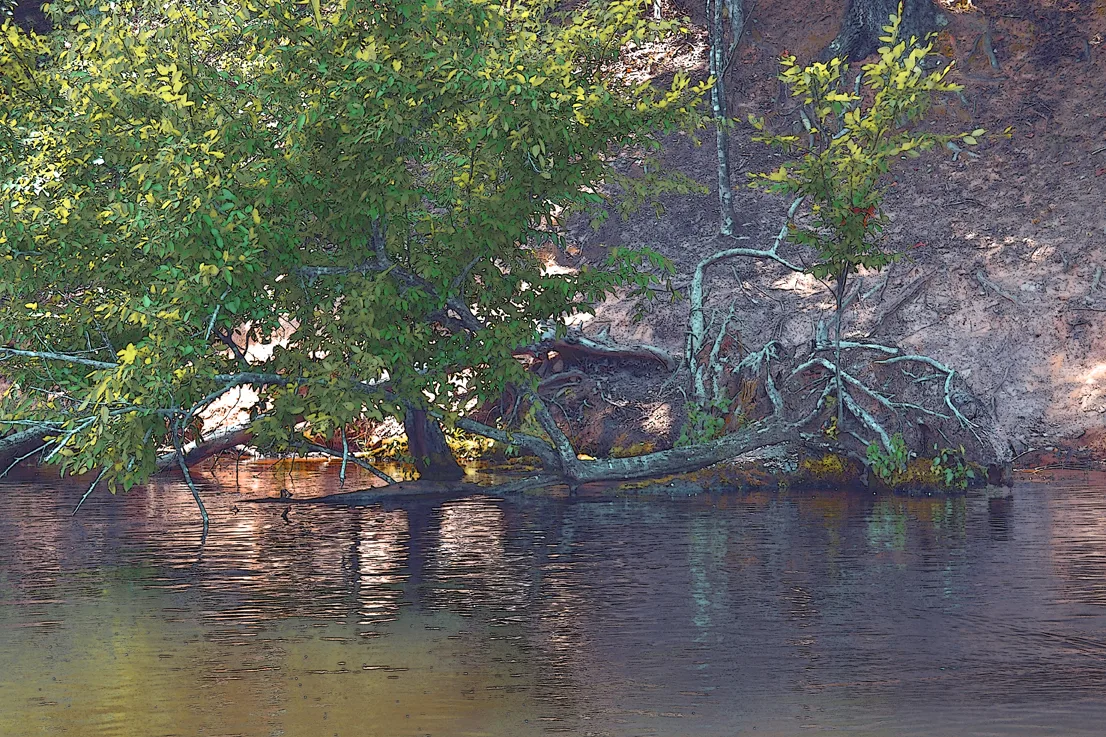 Yadkin-Peedee 34