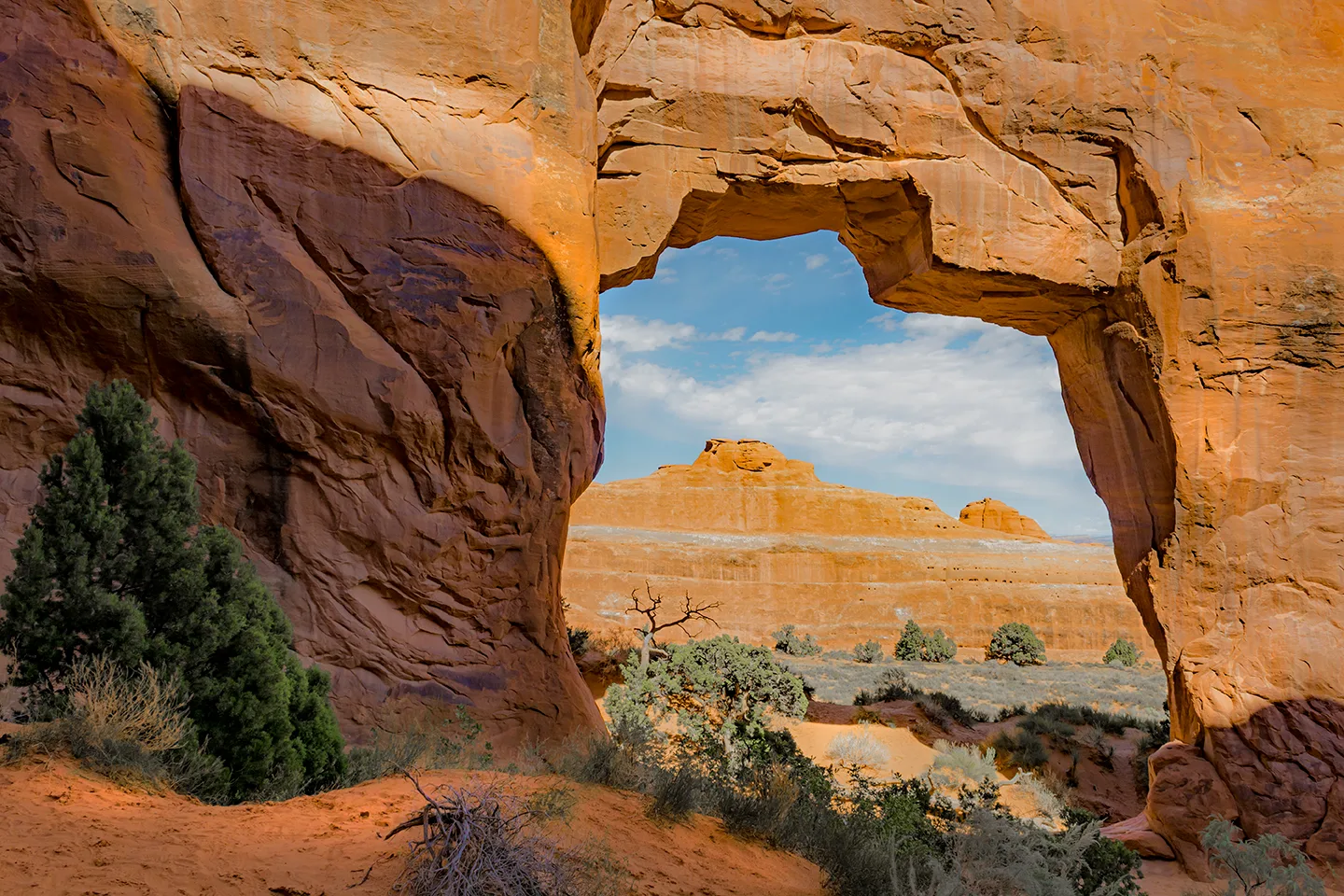 Arches 36