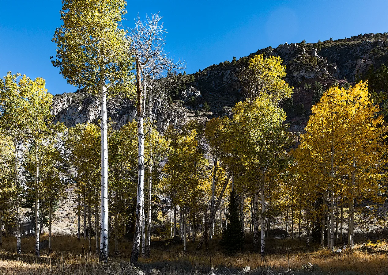 Yosemite 4