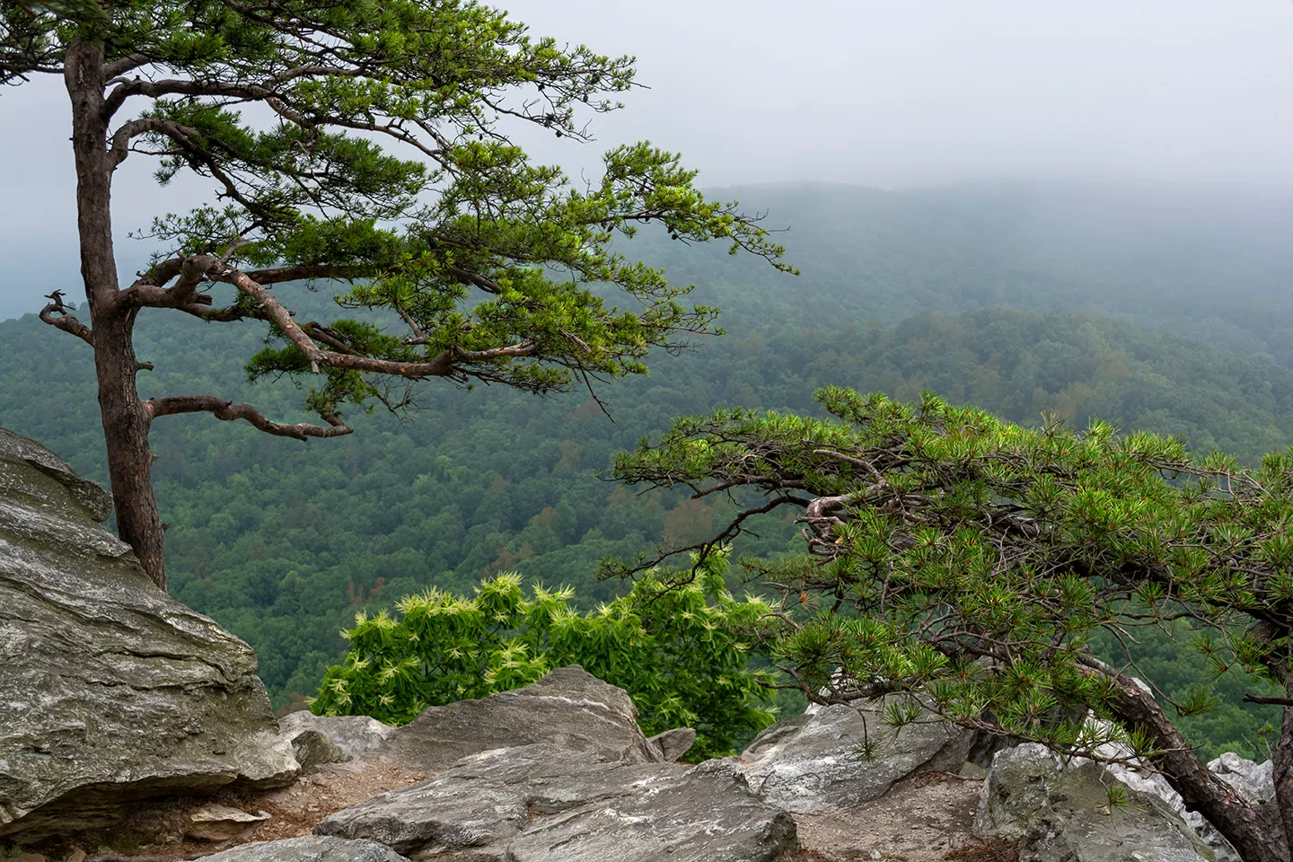 Hangingrock 1