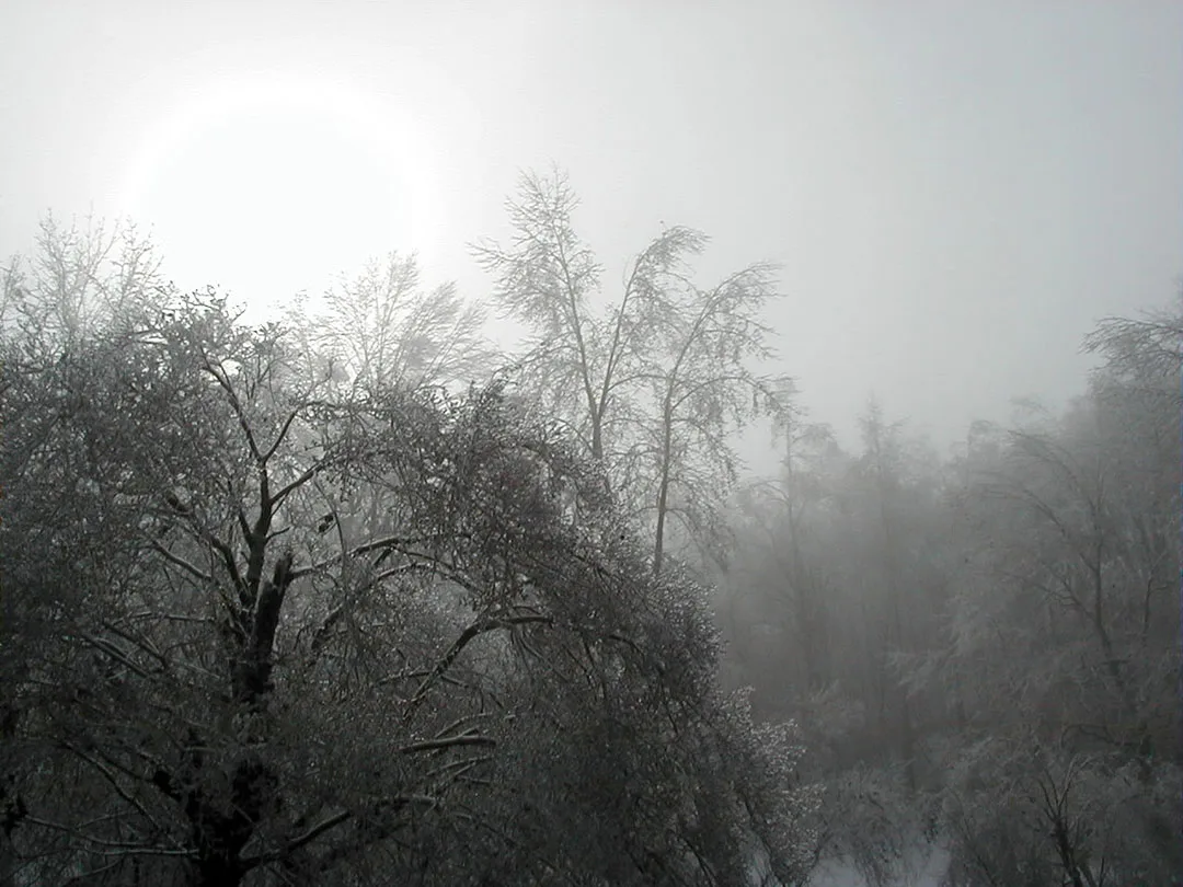 Ice Storm 2