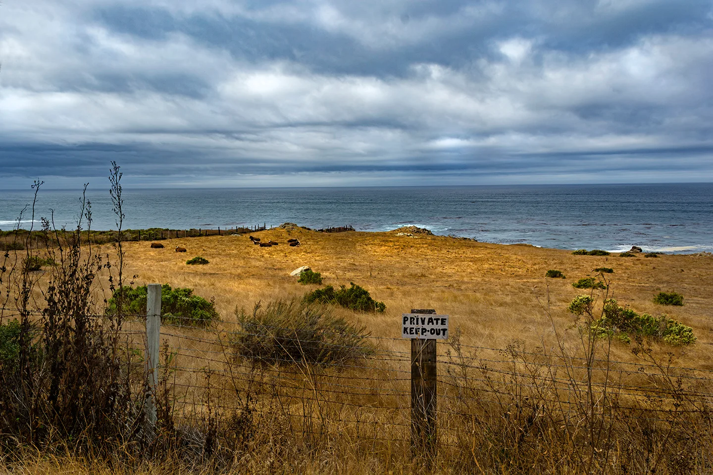 Pacifichighway 17