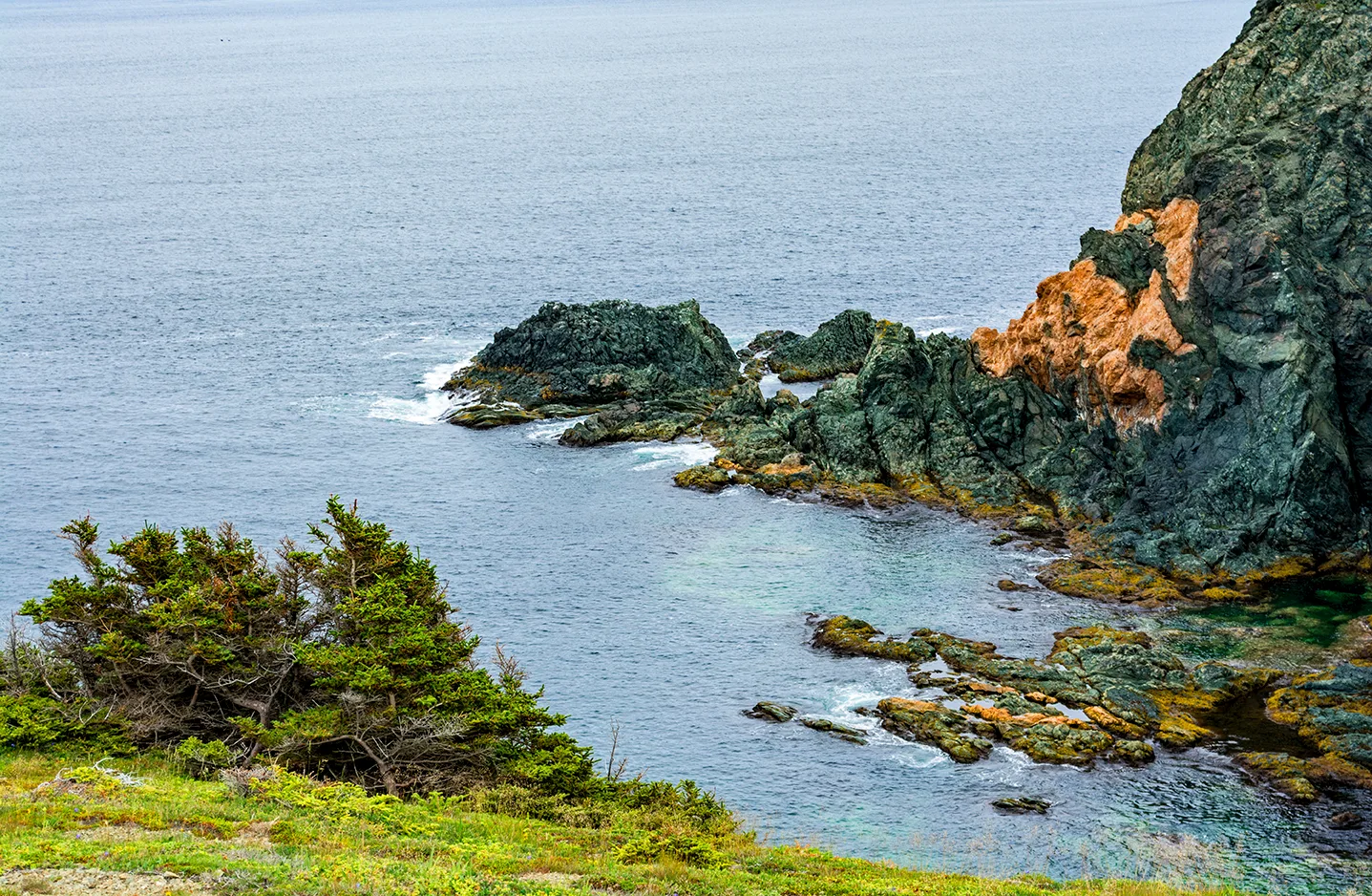 Twillingate 15