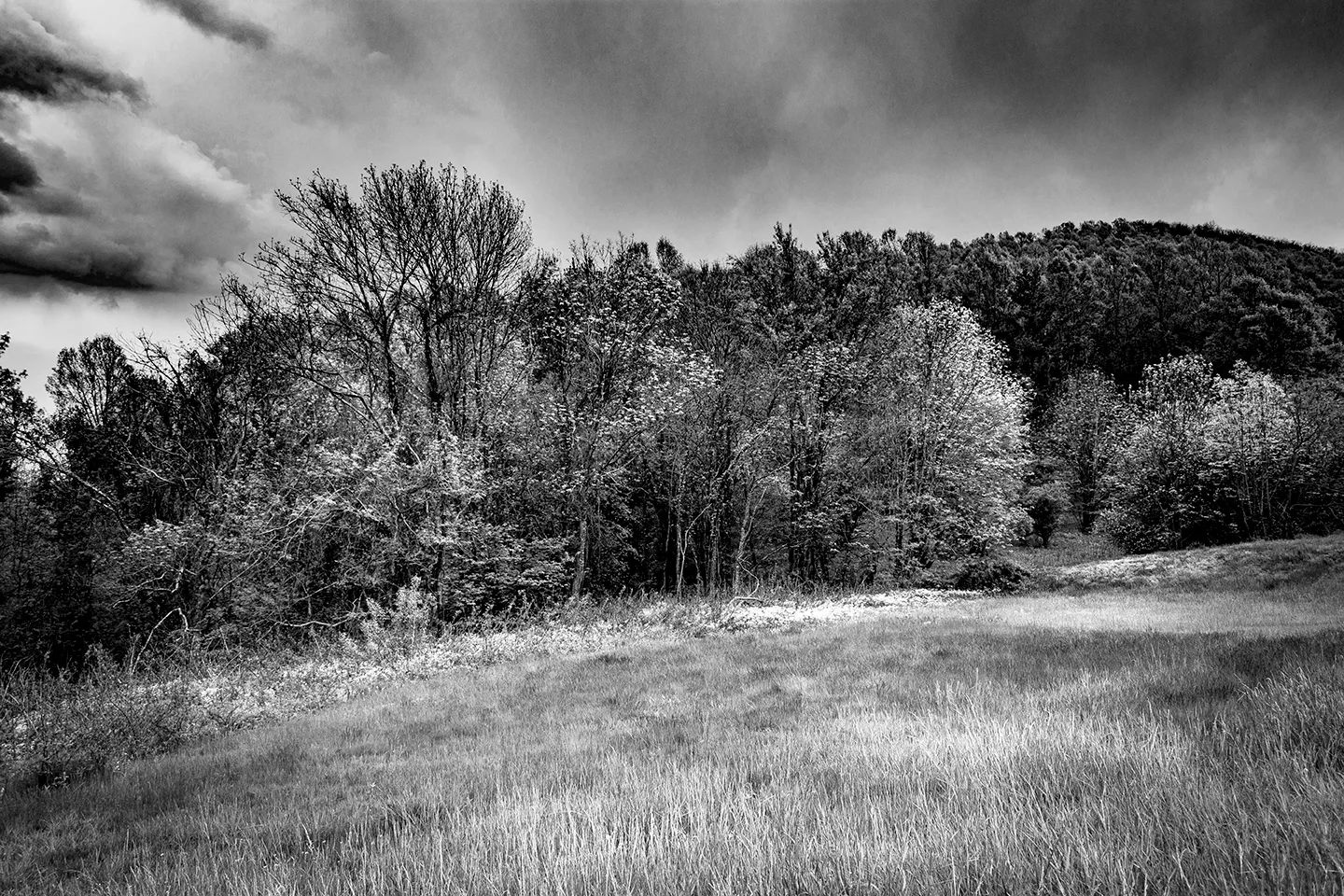 Blue Ridge 4-B&W
