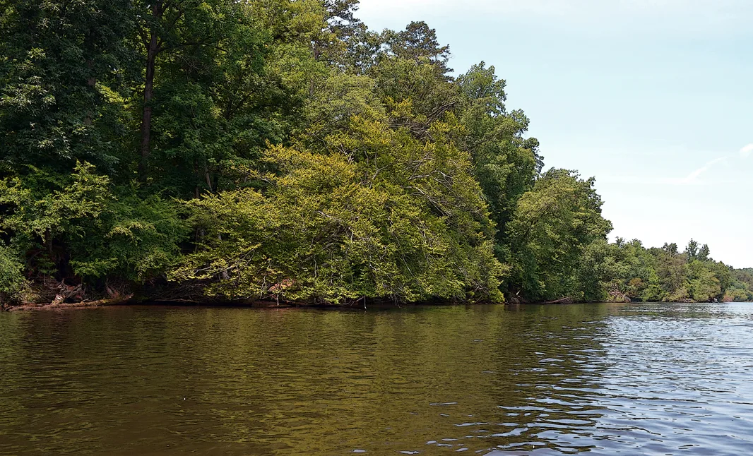 Yadkin-Peedee 10