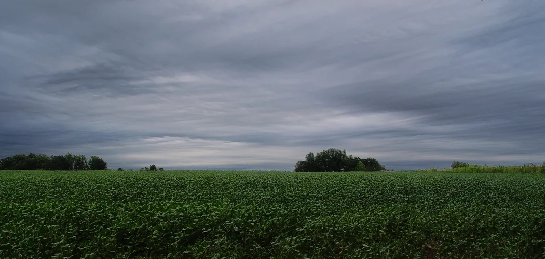 Landscape 5