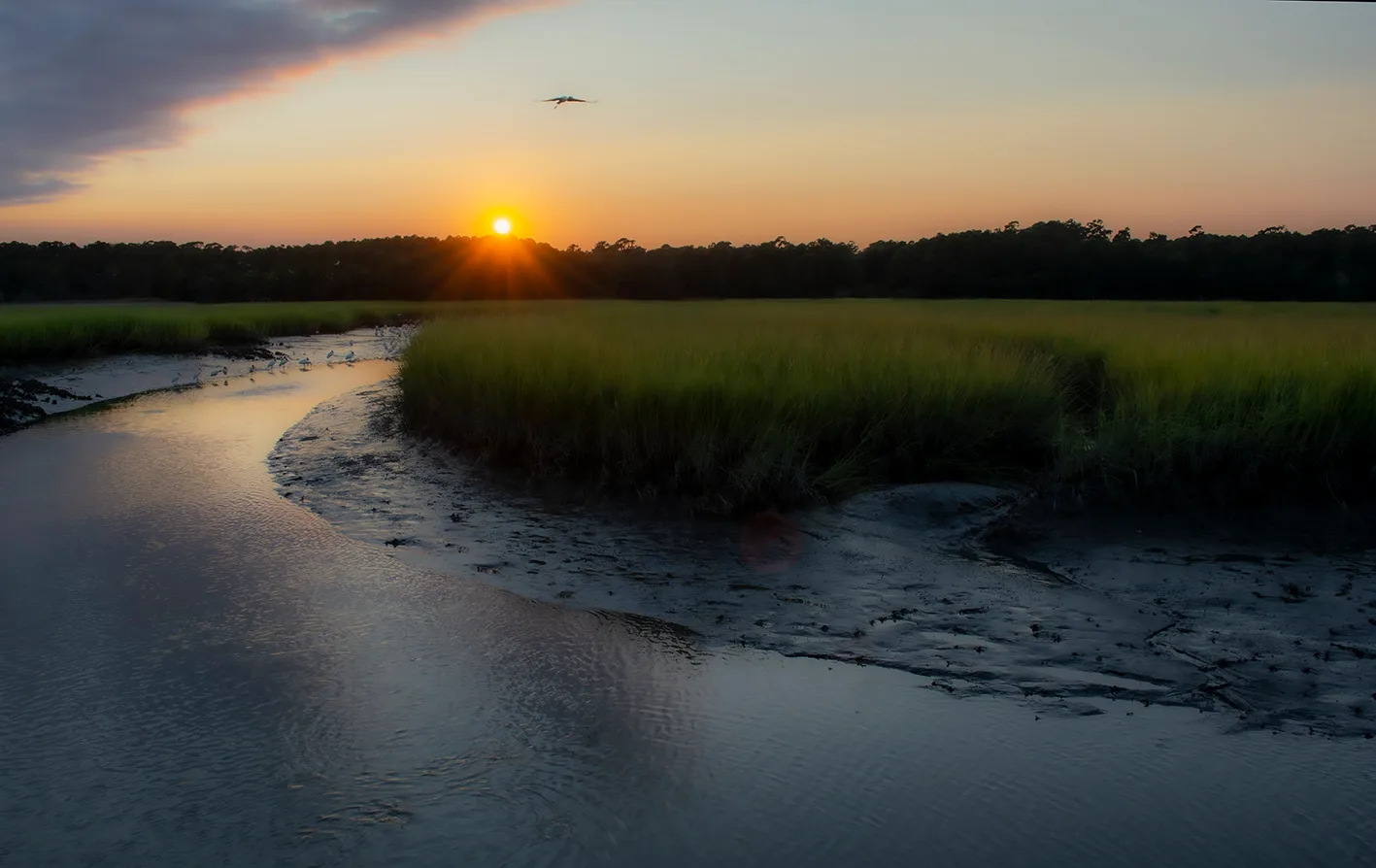Sunsethbsp 12