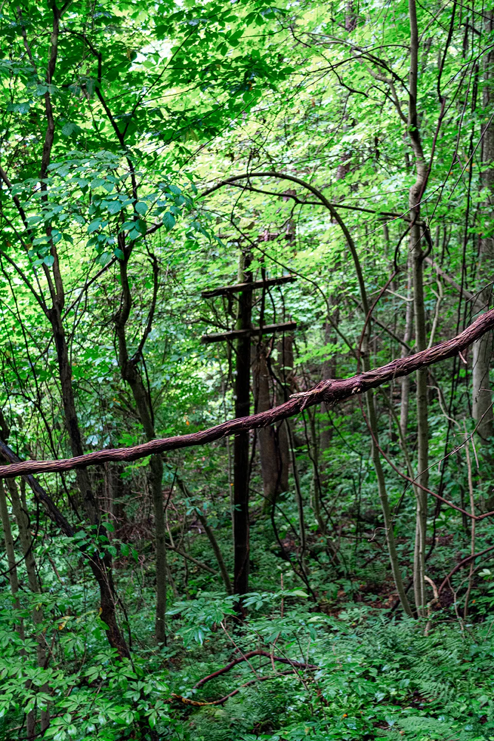 Kaymoor 11