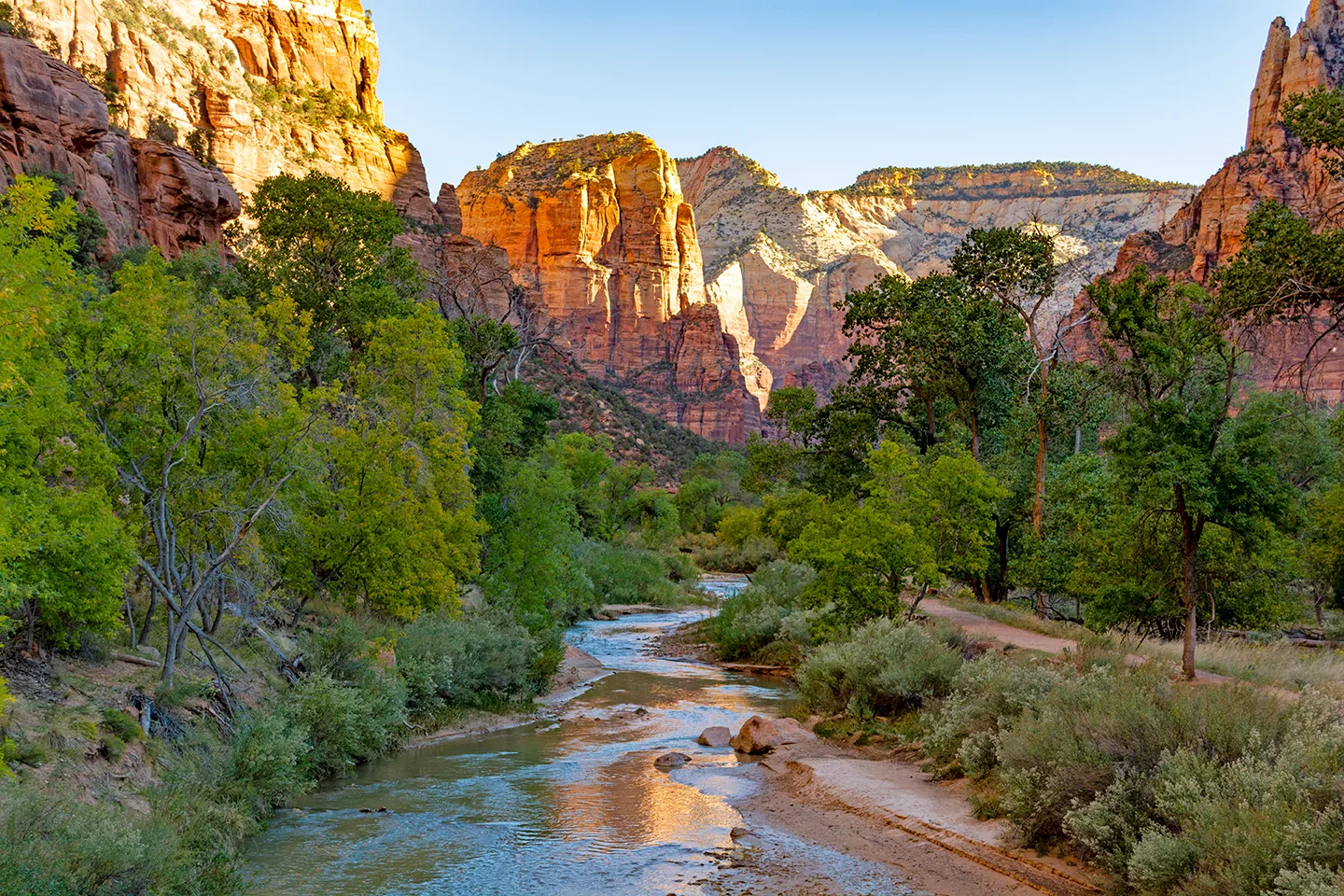 Zion 2020 1