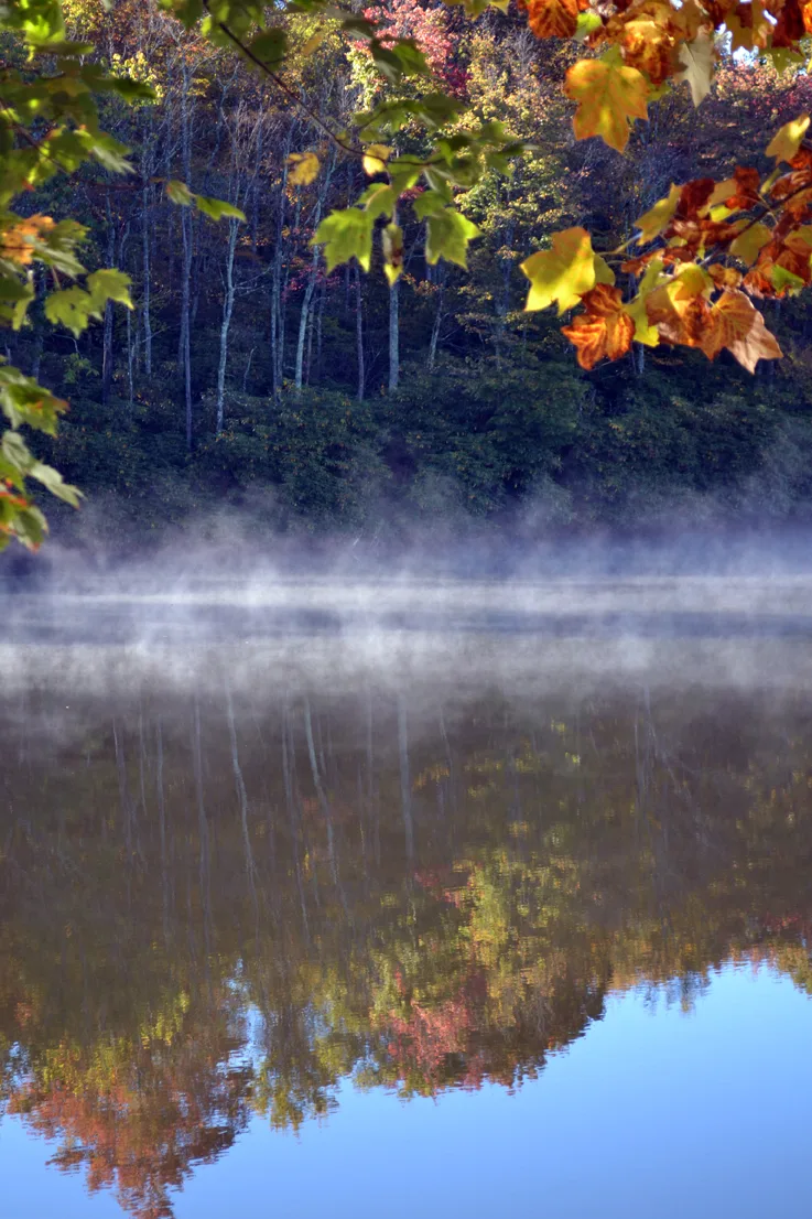 Lake Fall 10
