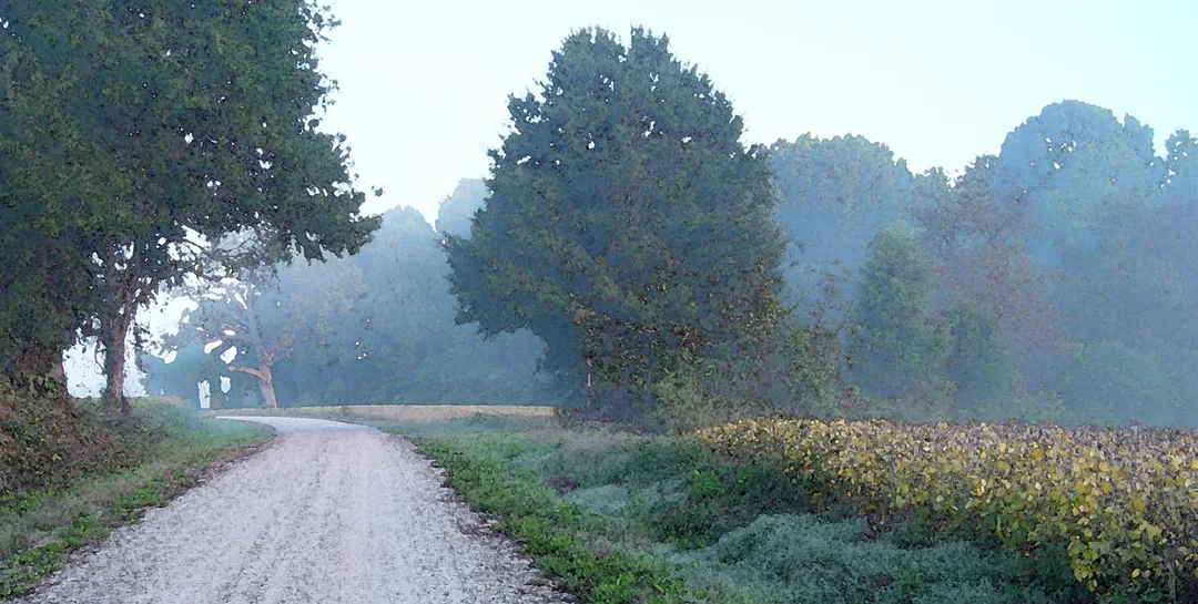 Fancy Sloan road