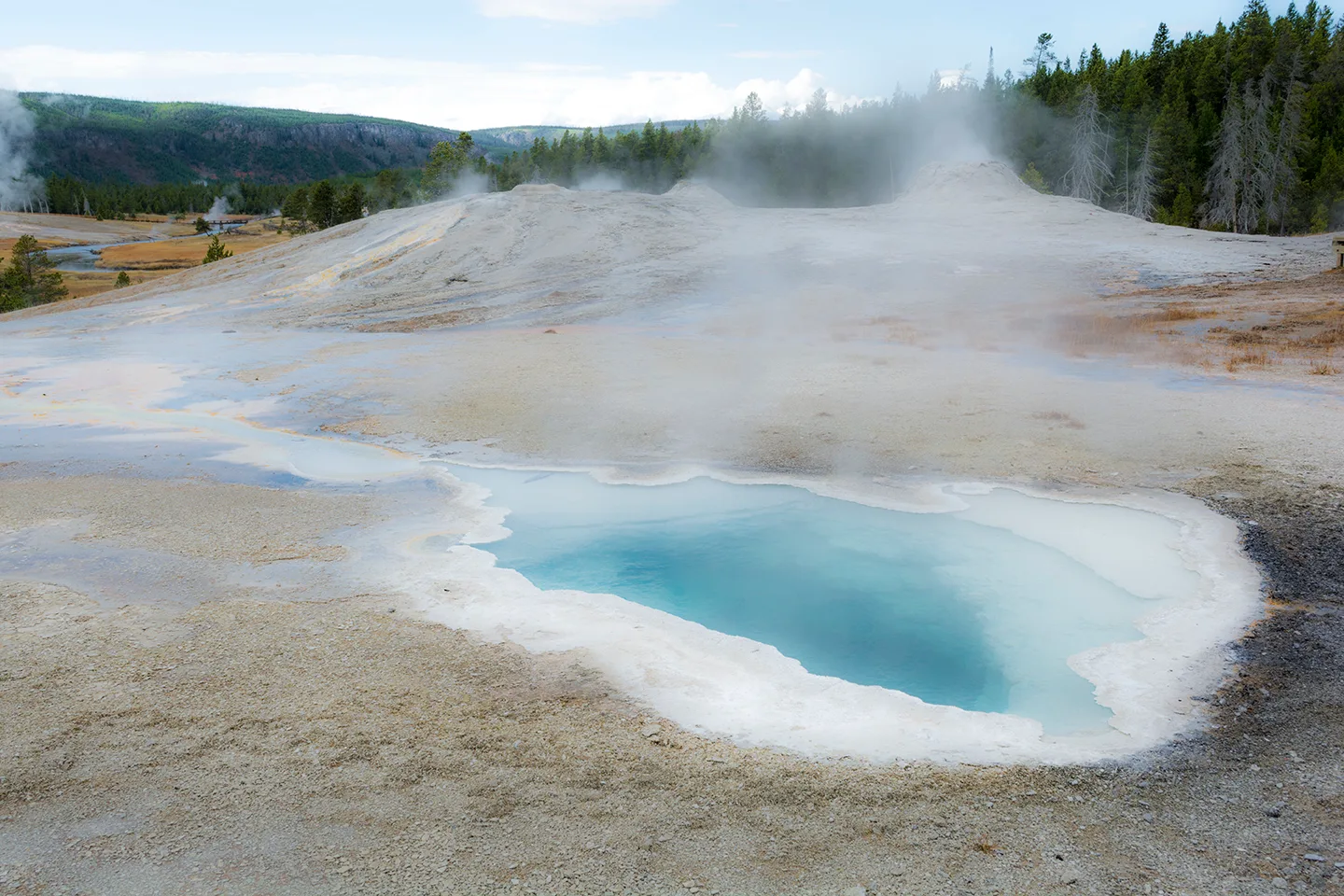 Yellowstone 46