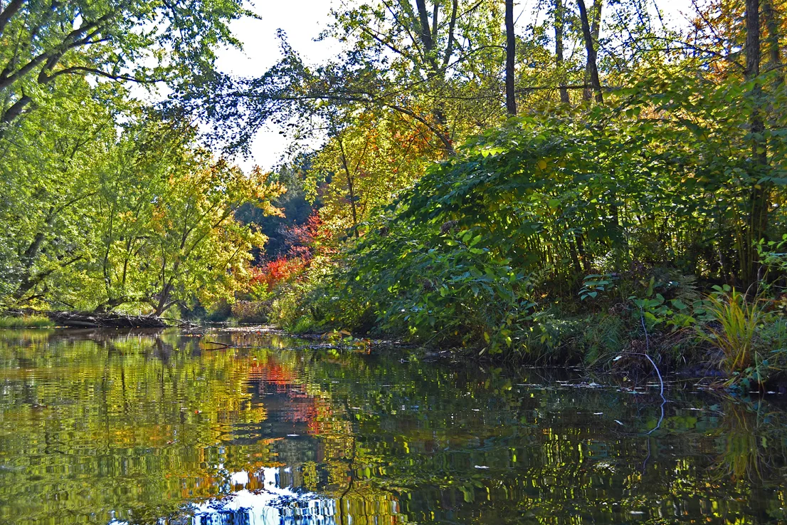 Kayak 2