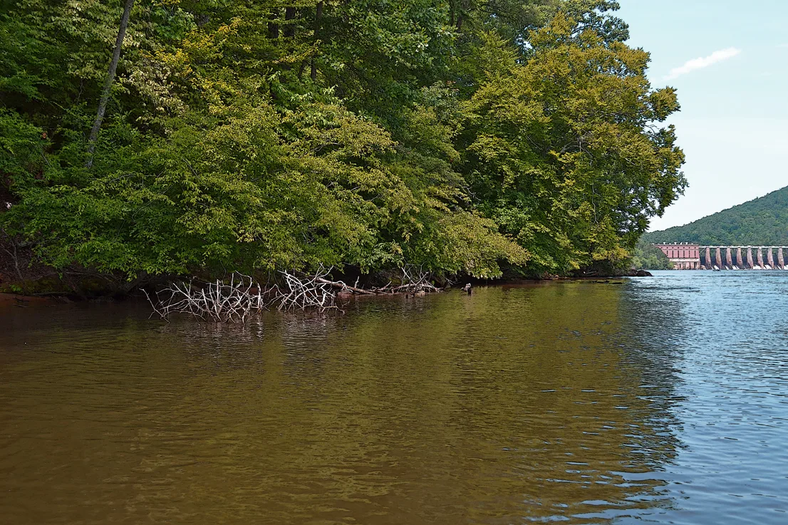Yadkin-Peedee 5