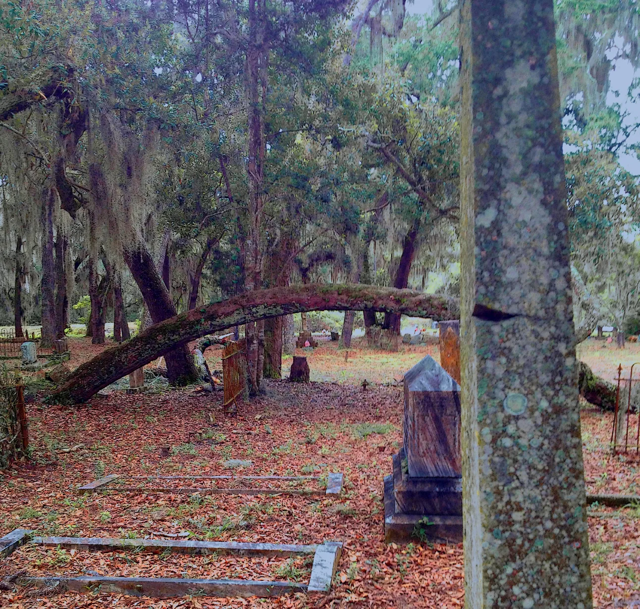 Graveyard 9
