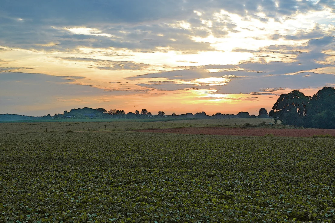 Hoffner Farm 25