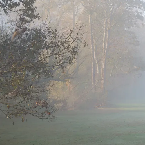 Fog Sloan Oct 18