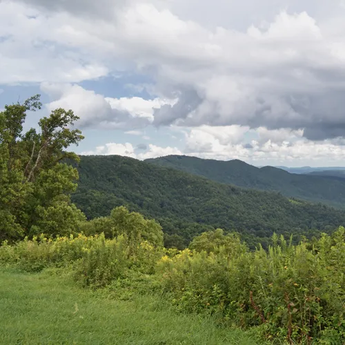 Grandview 1