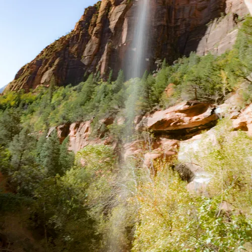 Zion 11