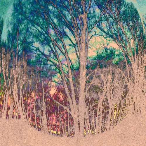 Graphic trees