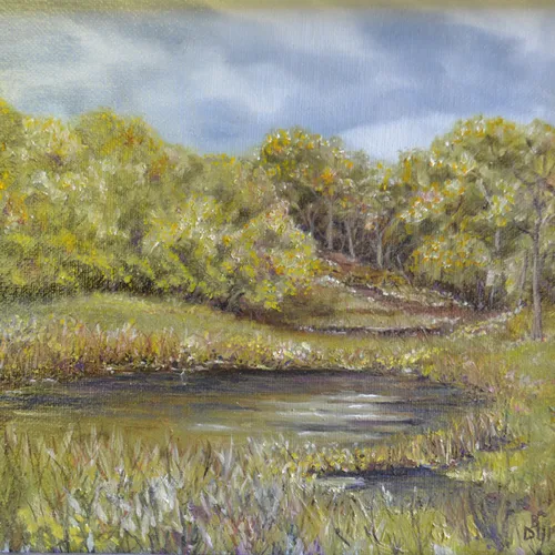 Gold Hill Pond