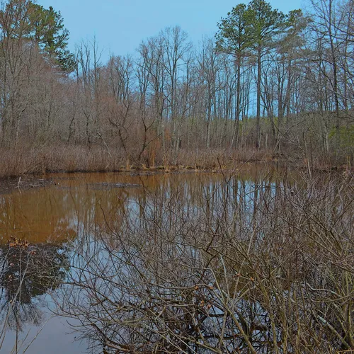 Wildlife Access 6