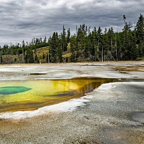 Yellowstone 12