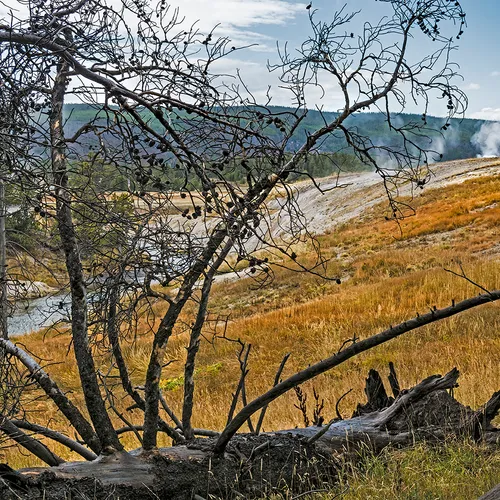 Yellowstone 13