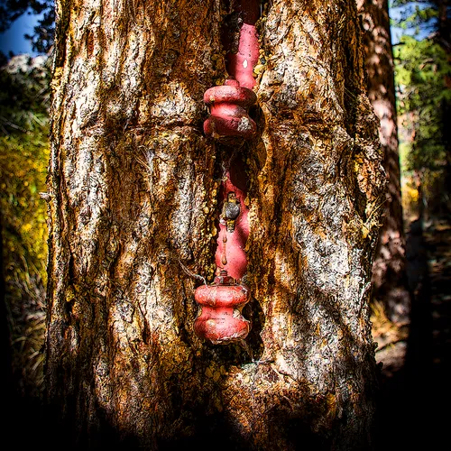 Yosemite 20