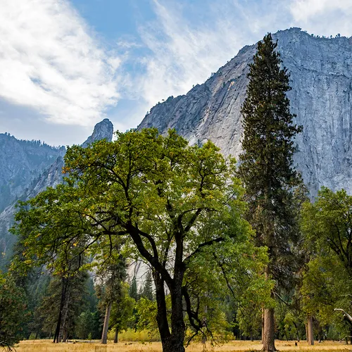 Yosemite 32