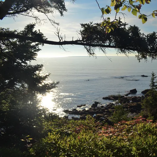 Acadia Shore 11