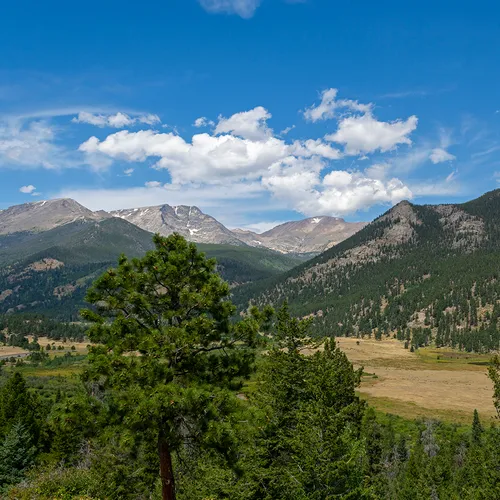 Rockymtn 5