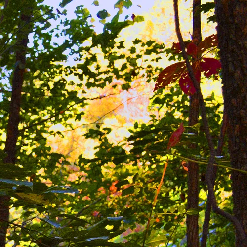 Color